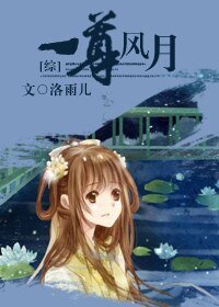 (综漫同人)一尊风月