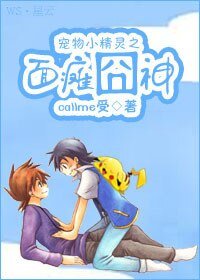 (宠物小精灵同人)宠物小精灵之面瘫囧神