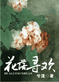 (综武侠同人)花落寻欢(番外)