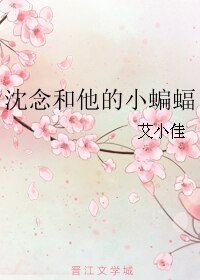沈念和他的小蝙蝠