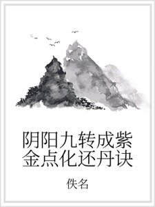 阴阳九转成紫金点化还丹诀