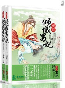 独宠倾城男妃