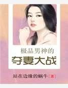 極品男神的奪妻大戰