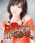 《總裁獨寵嬌妻/總裁的獨寵妻》
