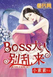 BOSS大人别挛来