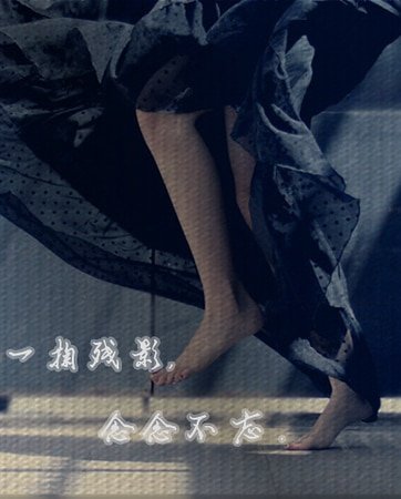 一掬残影,念念不忘。