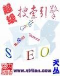 《超級搜索引擎》