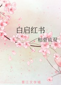 佰启鸿书