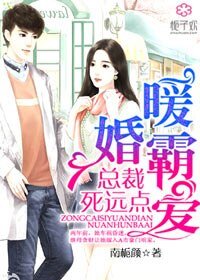 暖婚霸隘,總裁,司遠點