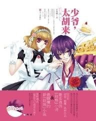 少爷,太胡来