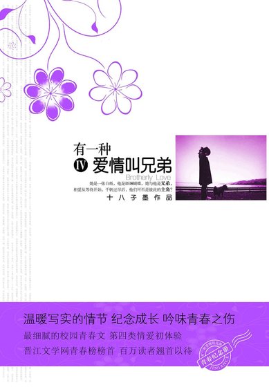 有一种隘情郊兄第(出书版)