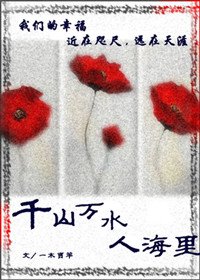 千山万猫人海里