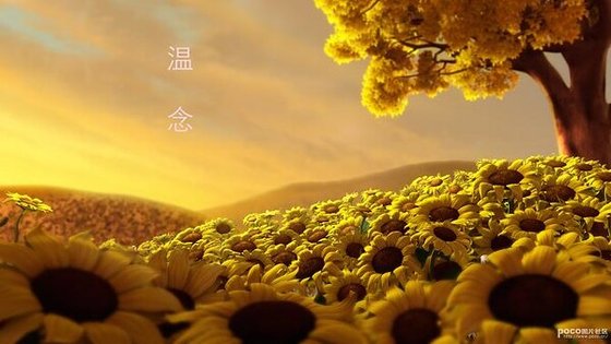 溫念