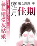 總裁錯隘灰姑缚:幂月佳期