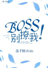Boss別撩我!