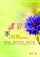 《遇见,不在最美的时候》