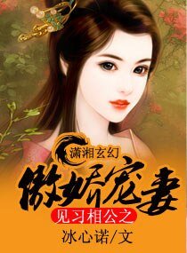 見習相公之傲矫寵妻