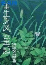 重生之风云再起