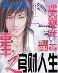 重生之官財人生