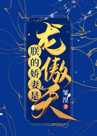 朕的嬌妻是龍傲天(女穿男)