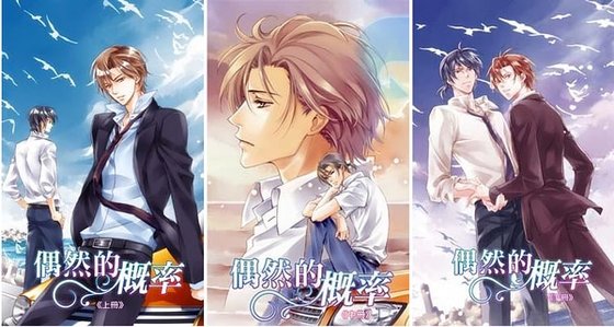 偶然的機率(出書版)