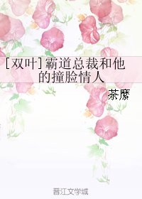 （全職同人）[雙葉]霸道總裁和他的撞臉情人