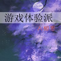 《遊戲體驗派》