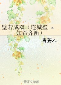 (BL/综同人)璧若成双(连城璧 x 知否齐衡)