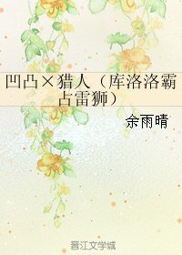《(BL/綜漫同人)凹凸×獵人(庫洛洛霸佔雷獅)》