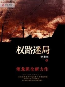 官场局中局/权路迷局