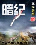 《暗纪》