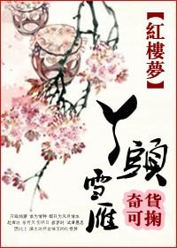 (鸿楼同人)鸿楼之丫头雪雁
