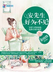 安先生,好久不见