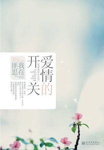 爱情的开关(精)
