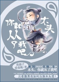 木頭,你就從了我吧/木頭你好,木頭再見