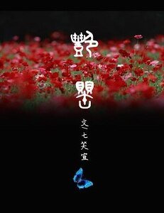 《艳罂》