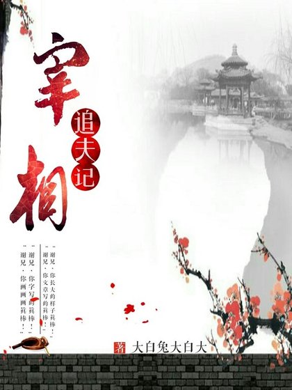宰相追夫记(重生)