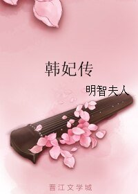 韩妃传