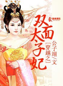 《穿越之双面世子妃》
