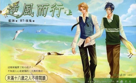逆风而行(出书版)