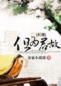 (紅樓同人)但為君故