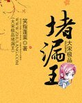 大宋极品堵漏王