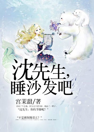 沈先生,睡沙发吧