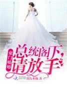 豪门暖婚:总统阁下,请放手