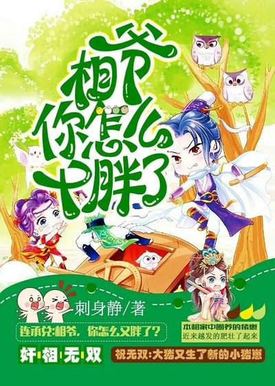 相爷,你怎么又胖了/奸相无双