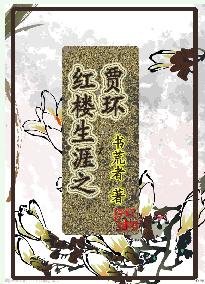 《(紅樓同人)紅樓生涯之賈環》