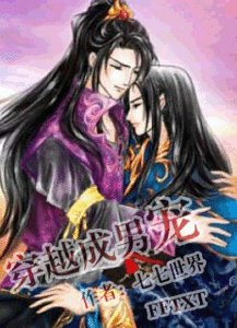 《穿越成男寵》