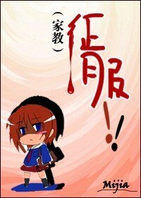 (家教同人)征服!!