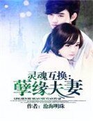 灵魂互换:孽缘夫妻