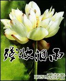 《殘妝淚雨/終極三世》